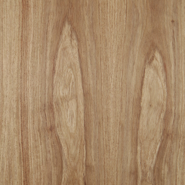 ALL-BROWN-KIAAT