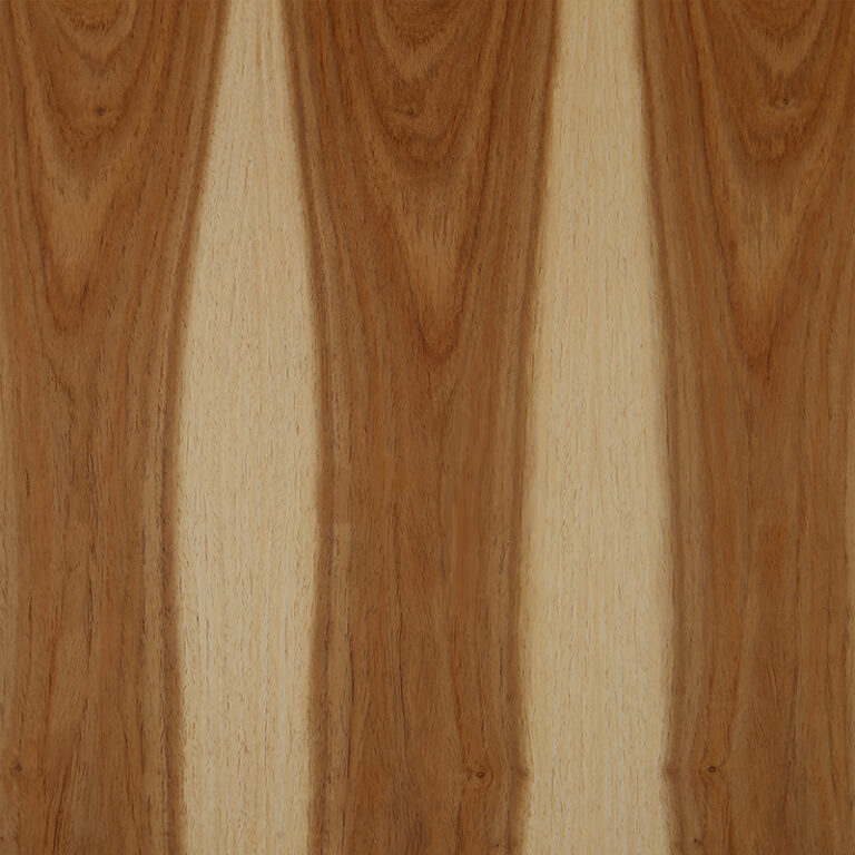 BROWN-AND-WHITE-KIAAT