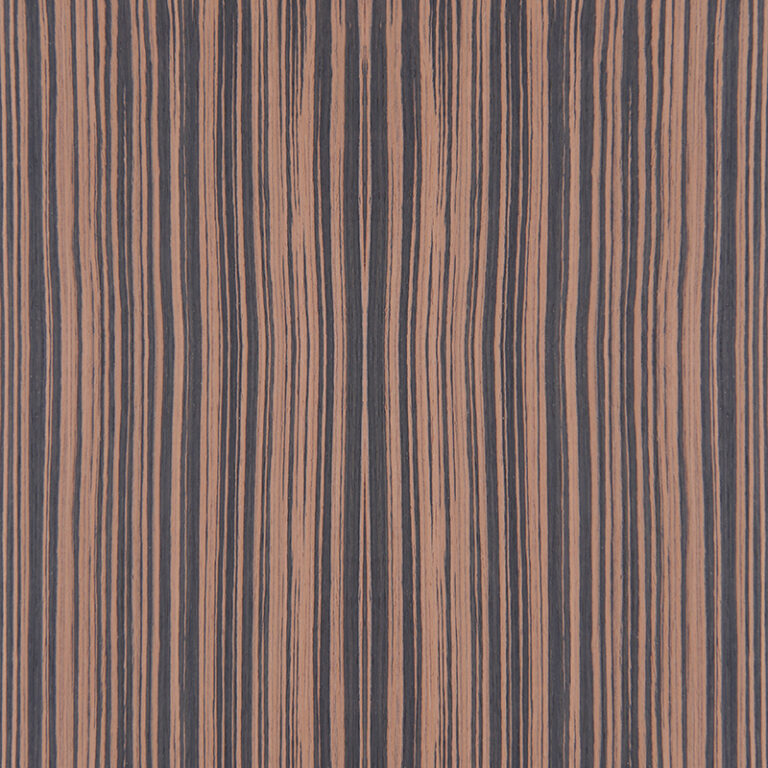 EBONY-RECON