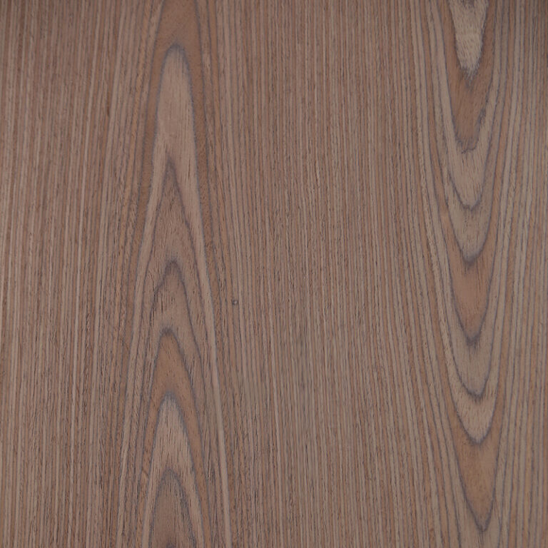 WALNUT-CROWN-RECON