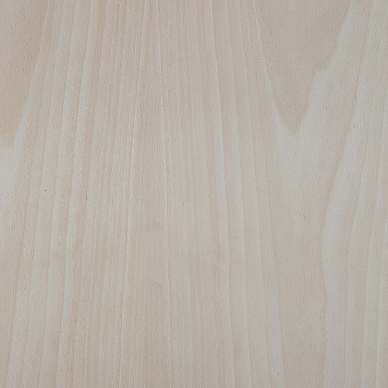 WHITE-BEECH